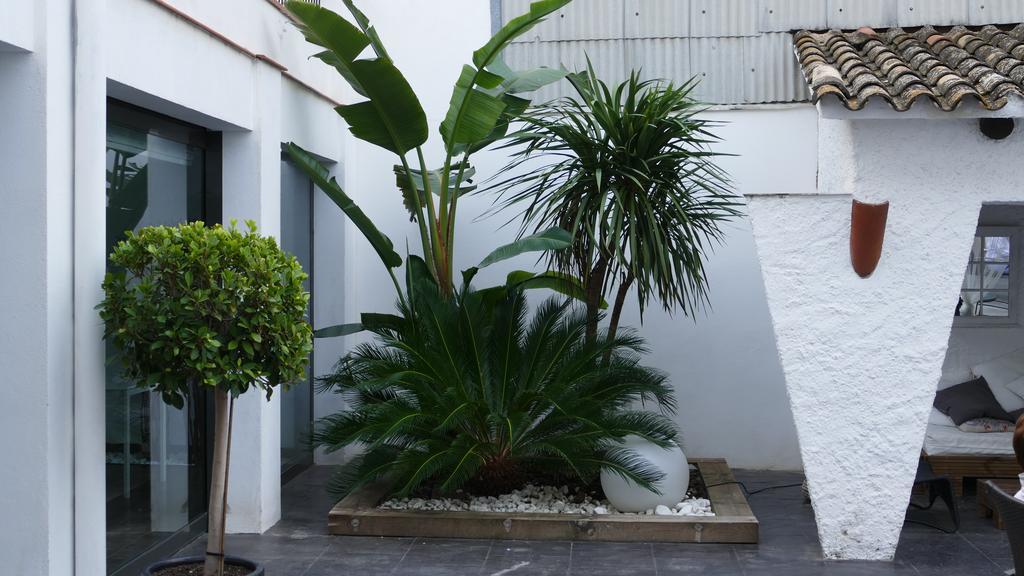 Hotel Salome Calafell Exteriér fotografie